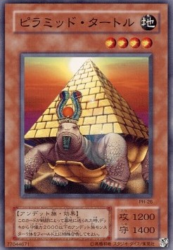 Pyramid Turtle