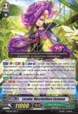 Lisianthus Musketeer, Loraine [G Format]