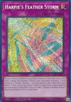 Harpie's Feather Storm (V.3 - Secret Rare)