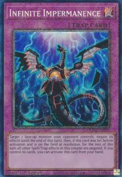 Infinite Impermanence (V.6 - Collectors Rare)