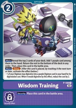 Wisdom Training (P-108)