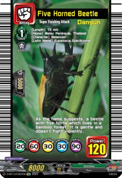 Five Horned Beetle [D-Format]