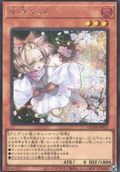 Ash Blossom & Joyous Spring (V.2 - Secret Rare)