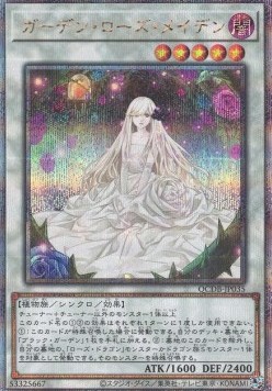 Garden Rose Maiden (V.3 - Quarter Century Secret Rare)