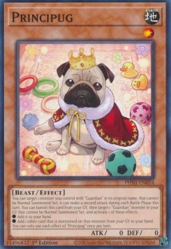 Principug