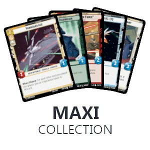 Maxi Collection (Up to 1000 cards)