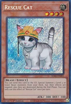 Rescue Cat (V.5 - Secret Rare)