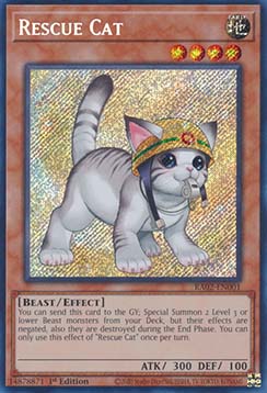 Rescue Cat (V.6 - Secret Rare)