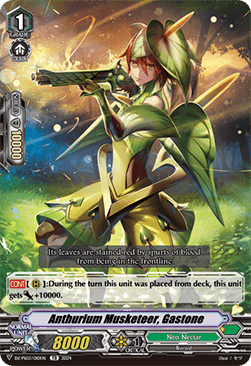 Anthurium Musketeer, Gastone [V Format]