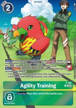 Agility Training (P-106)