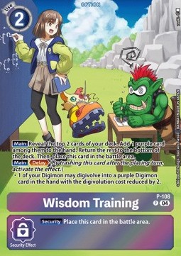 Wisdom Training (P-108)